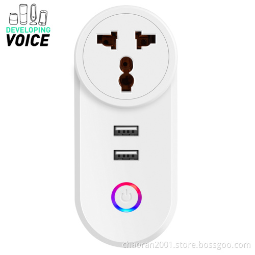 OEM Design Echo Timer Power Travel Mini Electric Outlet Wireless Adapter Socket Alexa India 2 USB Smart Plug